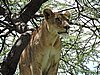 DSCN9615.JPG