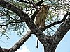 DSCN9618.JPG