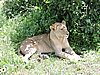 DSCN9621.JPG