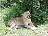DSCN9622.JPG