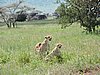 DSCN9624.JPG