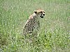 DSCN9633.JPG