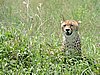 DSCN9638.JPG
