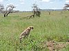 DSCN9643.JPG