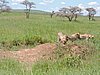 DSCN9645.JPG