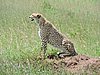 DSCN9650.JPG