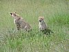 DSCN9652.JPG