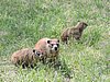 DSCN9663.JPG