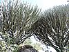 DSCN9667.JPG