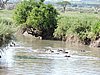 DSCN9673.JPG