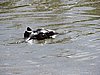 DSCN9674.JPG