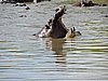 DSCN9679.JPG