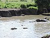 DSCN9681.JPG