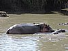 DSCN9685.JPG