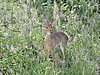 DSCN9689.JPG