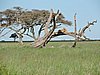 DSCN9691.JPG