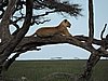 DSCN9695.JPG