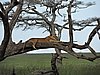 DSCN9704.JPG