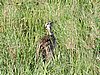 DSCN9708.JPG