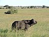 DSCN9716.JPG