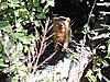 DSCN9734.JPG