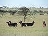 DSCN9737.JPG