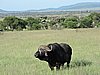 DSCN9745.JPG