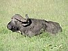 DSCN9747.JPG