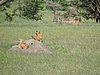 DSCN9750.JPG