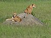 DSCN9757.JPG