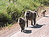 DSCN9765.JPG
