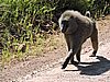 DSCN9772.JPG