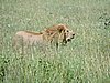 DSCN9778.JPG