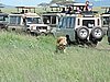 DSCN9782.JPG