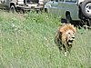 DSCN9783.JPG