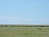 DSCN9785.JPG