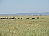 DSCN9787.JPG