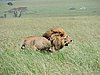 DSCN9797.JPG
