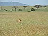 DSCN9799.JPG