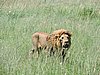 DSCN9803.JPG