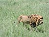 DSCN9804.JPG