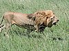 DSCN9805.JPG