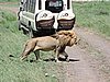 DSCN9806.JPG