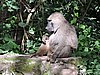 DSCN9811.JPG
