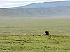 DSCN9815.JPG