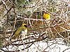 DSCN9817.JPG