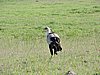 DSCN9818.JPG