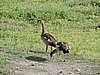 DSCN9821.JPG