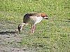 DSCN9822.JPG