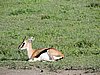 DSCN9824.JPG